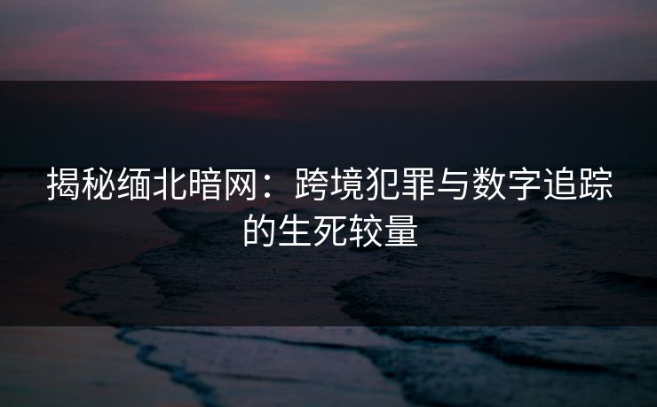 揭秘缅北暗网：跨境犯罪与数字追踪的生死较量