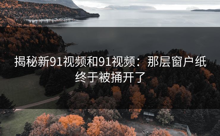 揭秘新91视频和91视频：那层窗户纸终于被捅开了