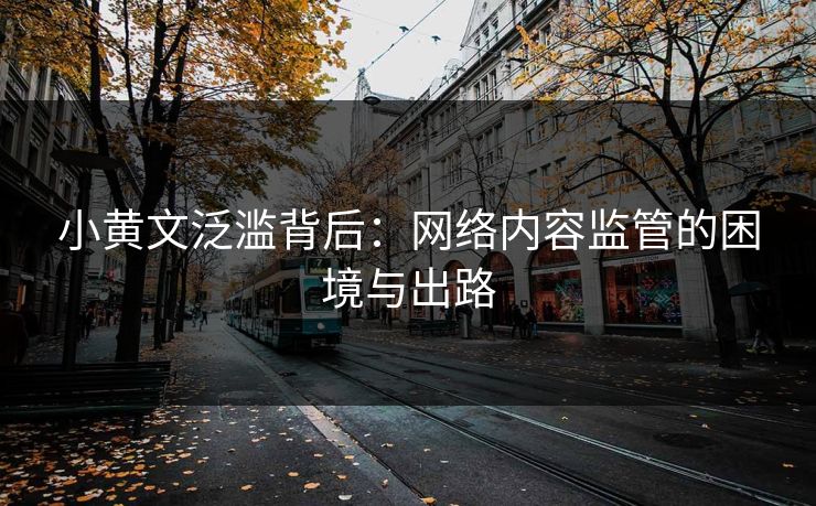 小黄文泛滥背后：网络内容监管的困境与出路