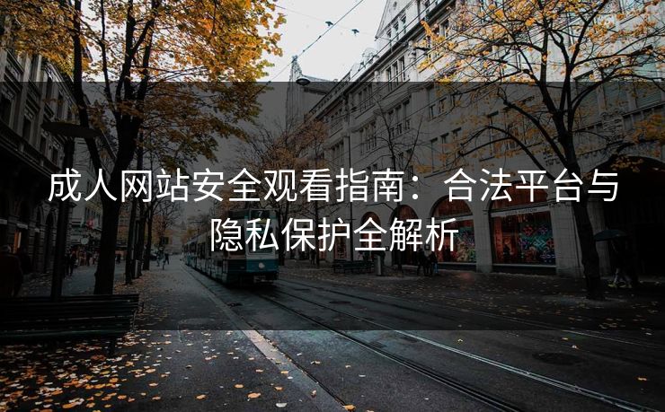 成人网站安全观看指南:合法平台与隐私保护全解析